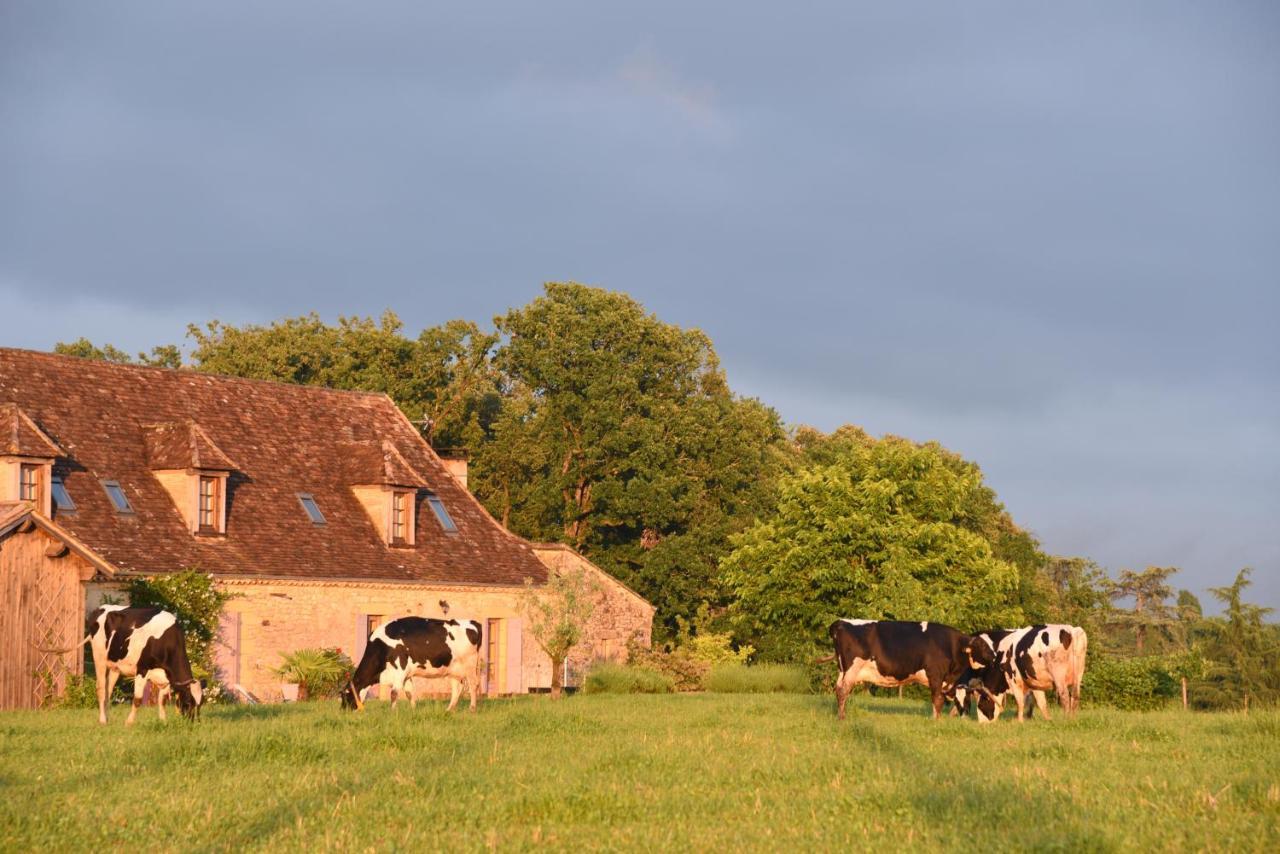 Chambre D'Hotes La Ferme De La Croix. Saint-Avit-Senieur Bagian luar foto