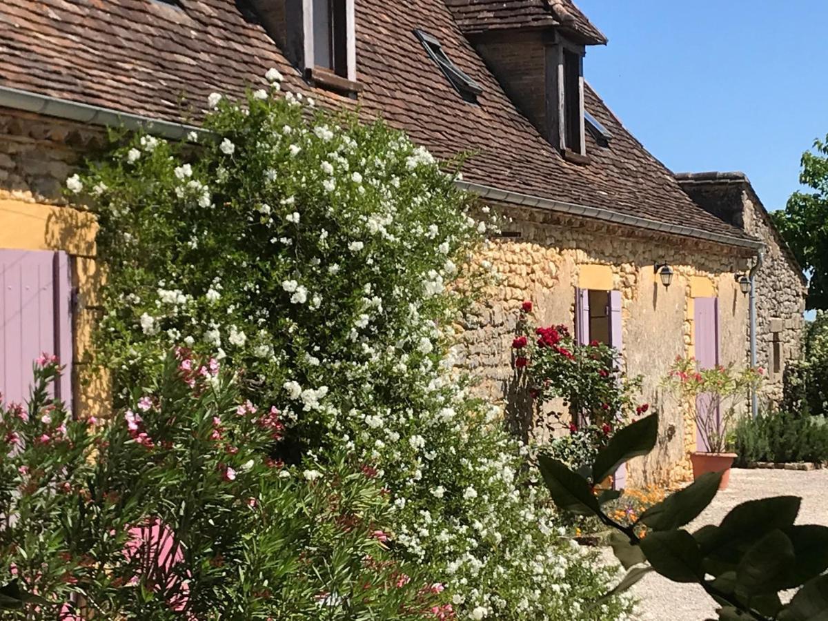 Chambre D'Hotes La Ferme De La Croix. Saint-Avit-Senieur Bagian luar foto